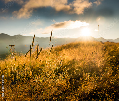 Amazing mountain landscape with fog and a haystack