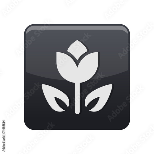 App Button