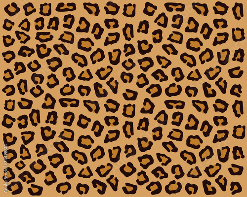 Prints of skin of  leopard 2, vector illustration