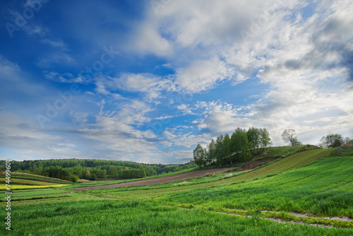 Polskie pola uprawne © barytek
