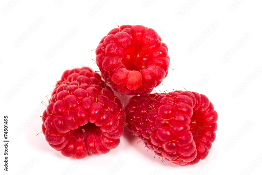 ripe red raspberry ripe red raspberry
