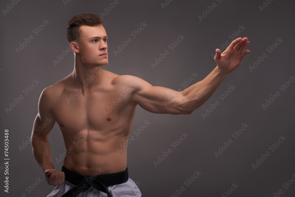 Handsome karate enthusiast