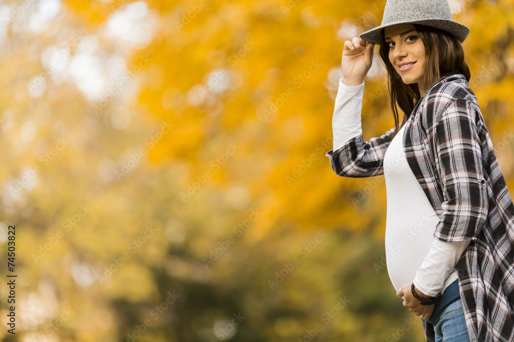 Young pregnant woman in the autumn park Young pregnant woman in the autumn park