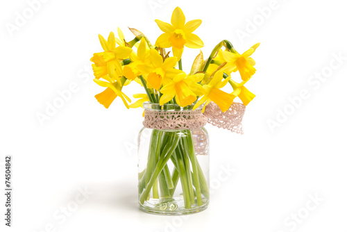 Fototapeta Naklejka Na Ścianę i Meble -  Zwergnarzissen