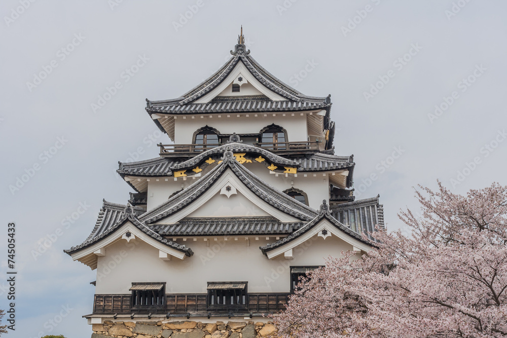 春の彦根城の天守 春の彦根城の天守