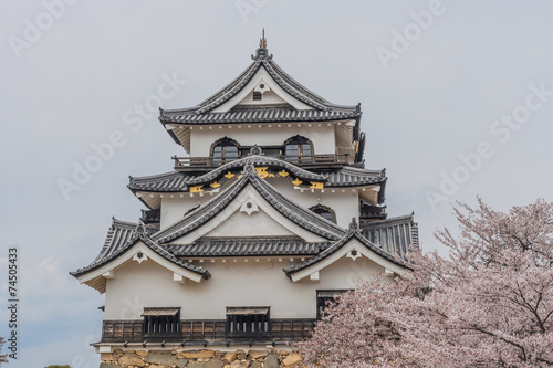 春の彦根城の天守 © nameyasu
