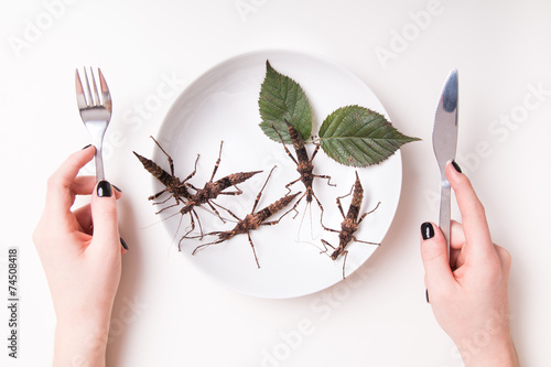 Plate full of insects in insect to eat restaurant