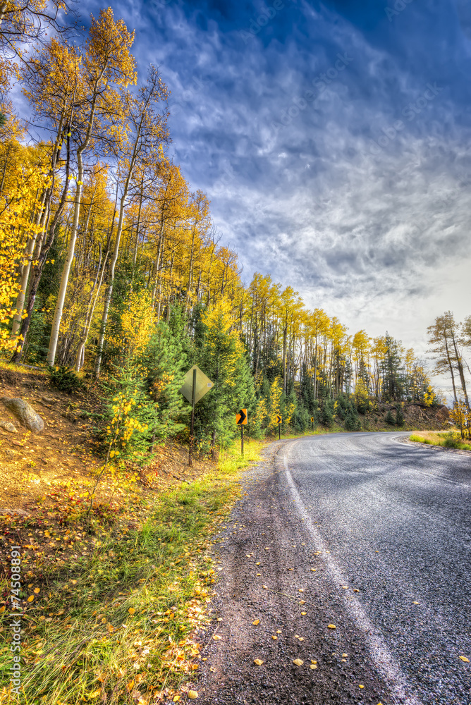 Naklejka premium Aspens on a Country Road