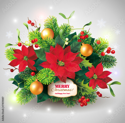 Christmas card with fir and poinsettia decoration. Vector