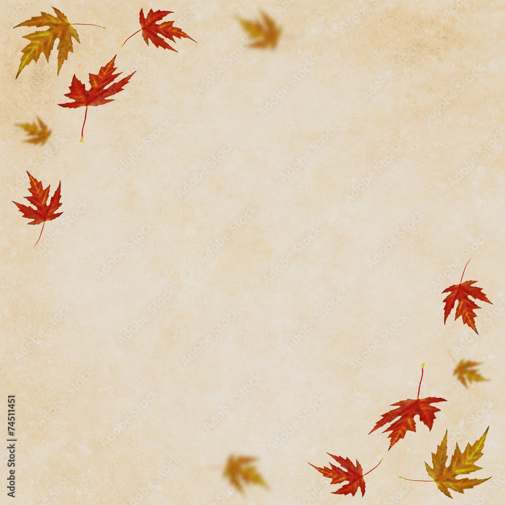 autumn leaves