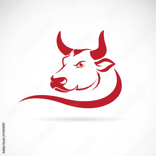 Vector image of an bull head on a white background