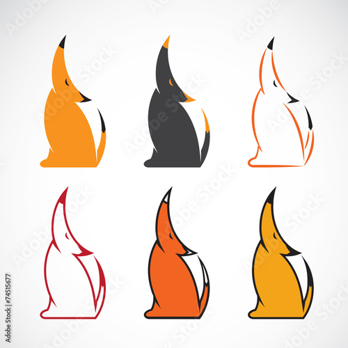 Vector image of an fox design on white background