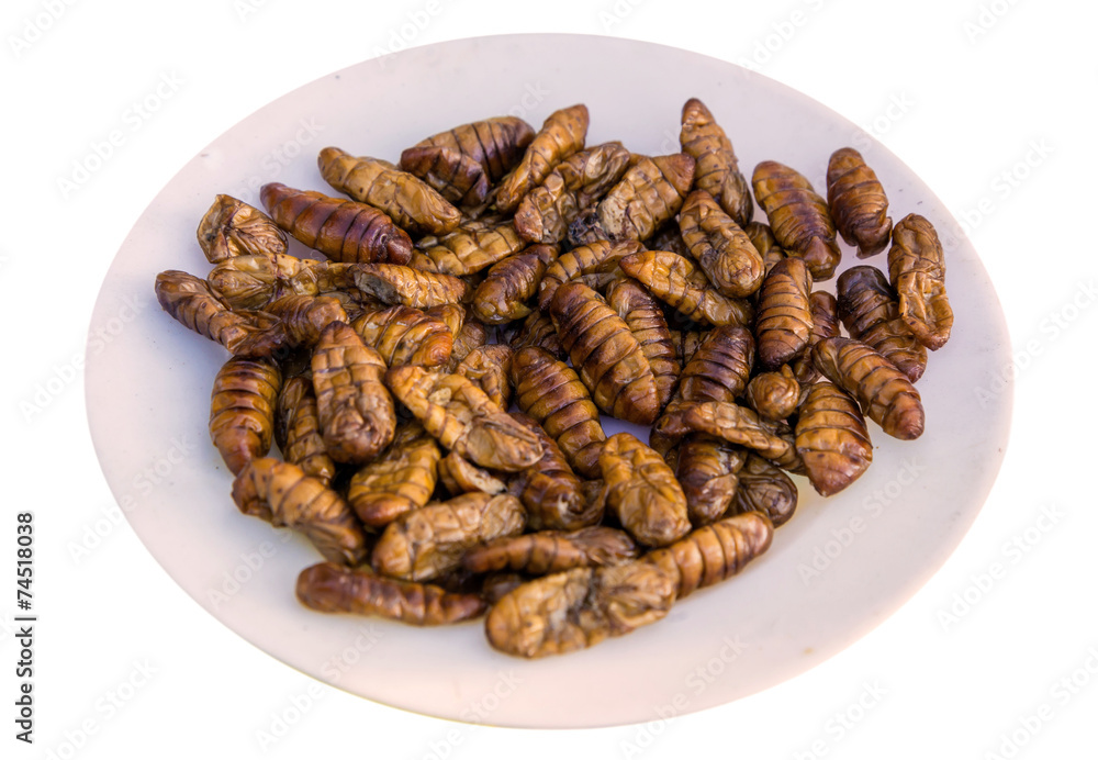 Fried silk worm is the food of the natives