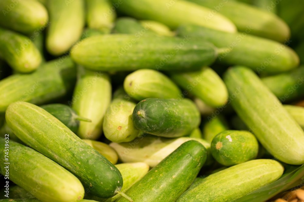 fresh cucumber, pile of fresh picked cucumber in the market fresh cucumber, pile of fresh picked cucumber in the market
