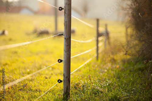 Electric fencing around a pasture with farm animals