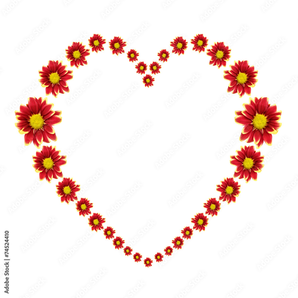 Beautiful heart of red flower isolated on white background