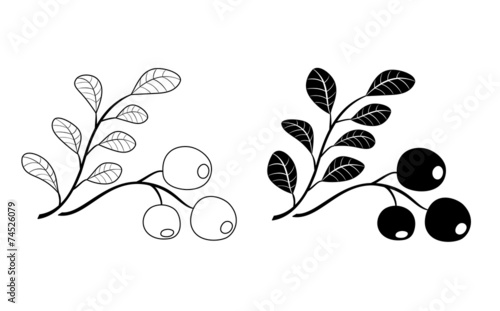 branch of cowberry - black vector
