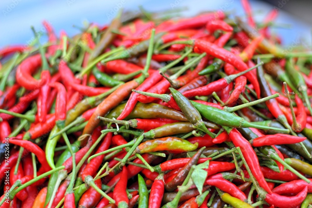 Fresh chili in the market Fresh chili in the market