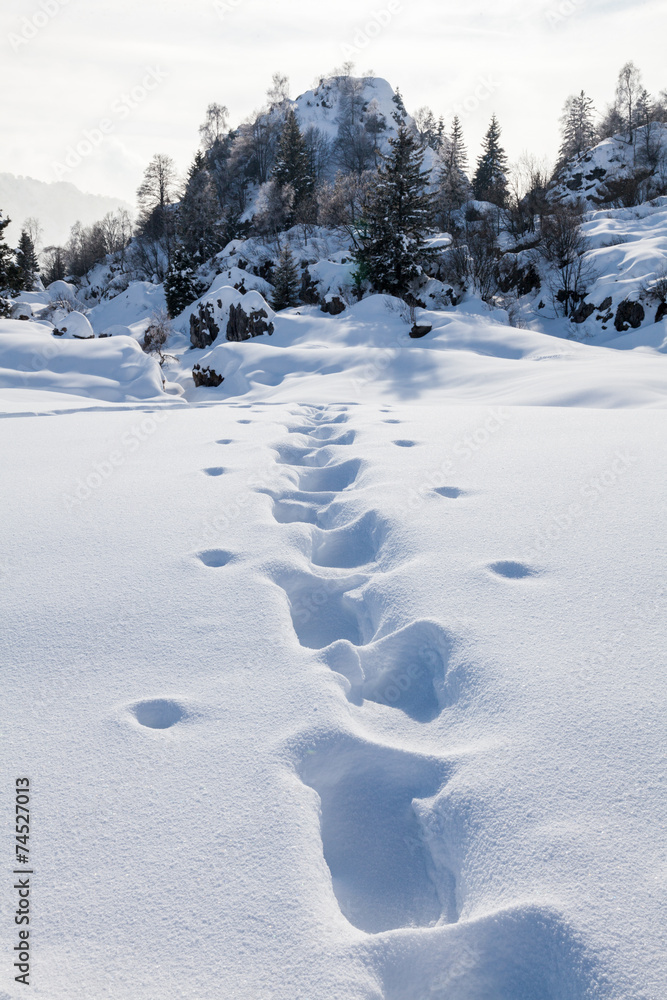 Footsteps on the snow Footsteps on the snow