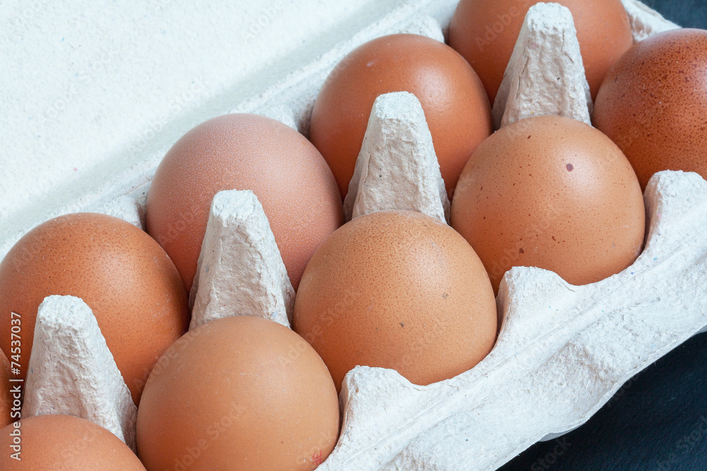 Oeufs dans leur conditionnement Oeufs dans leur conditionnement
