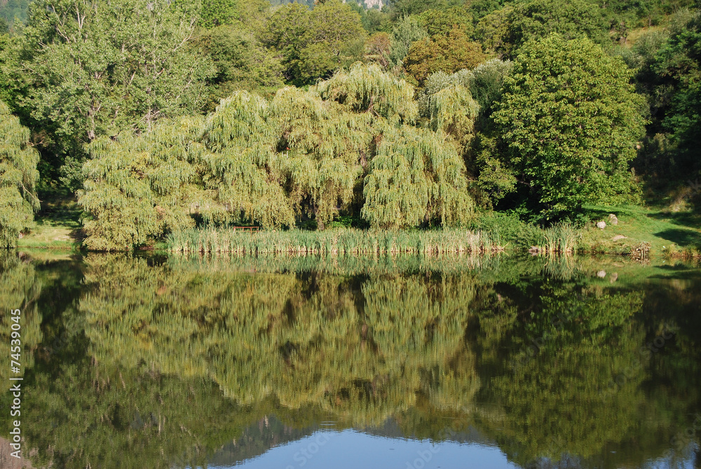 Fototapeta premium lago - Smolyan , Bulgaria