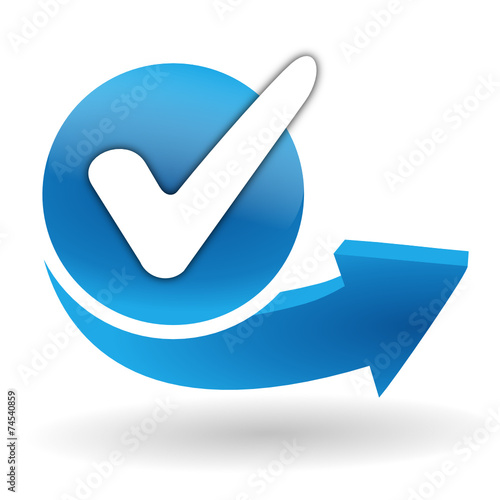cocher sur bouton web bleu