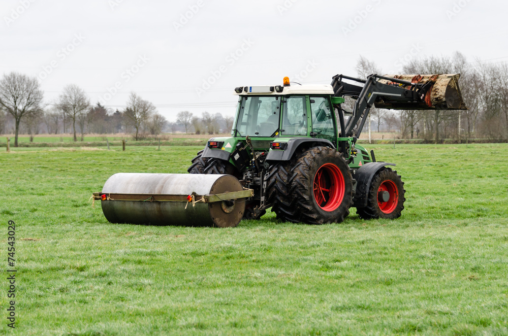 Naklejka premium Weideland walzen