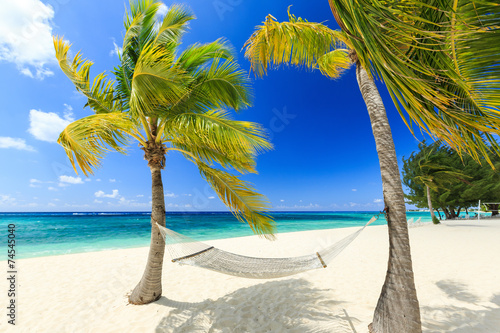Hammock and palm trees at 7 mile beach, Grand Cayman photo