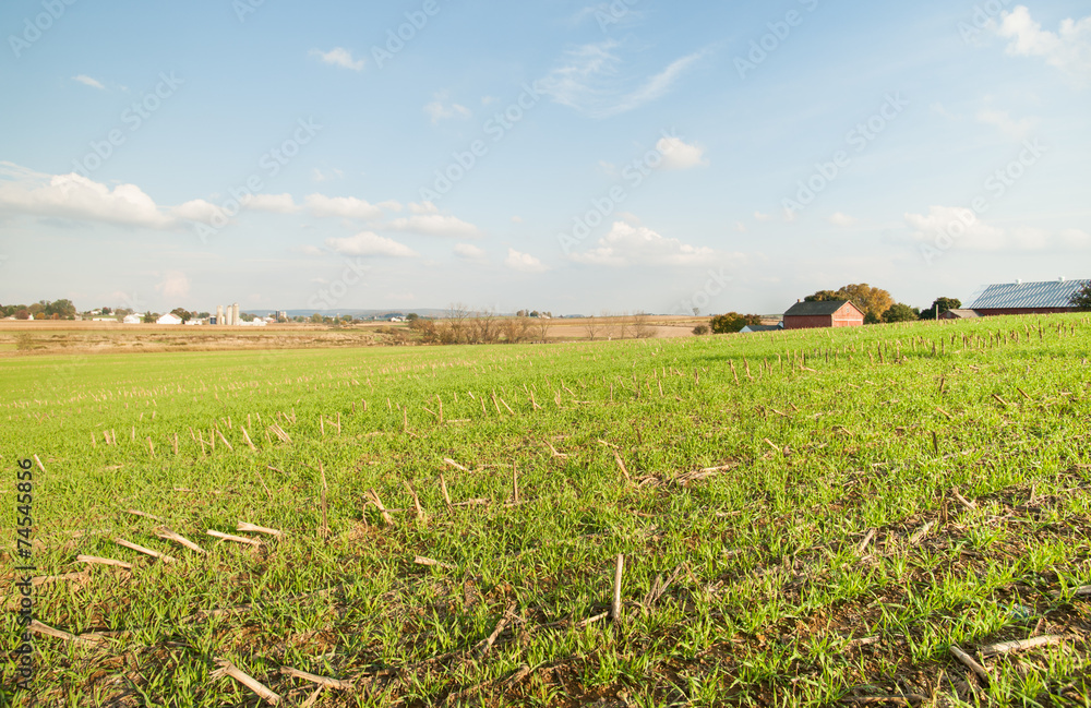 American rural landscape, after the corn harvest American rural landscape, after the corn harvest