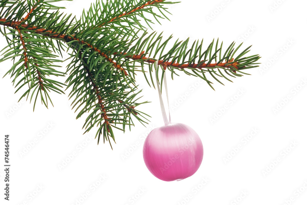 Obraz premium Decoration on Christmas tree branch isolated on white background