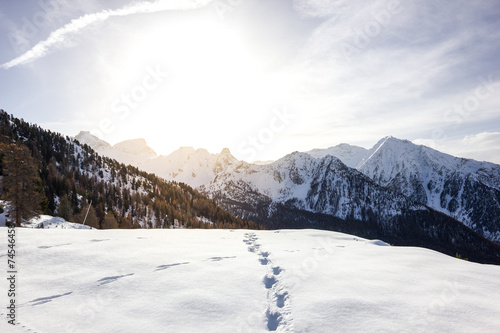 Paesaggio di montagna in inverno con neve