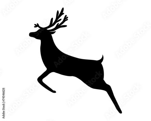 reindeer isolated on white background