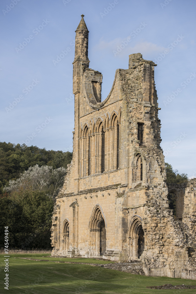 Byland Abbey Ruins, North Yorkshire, England Byland Abbey Ruins, North Yorkshire, England