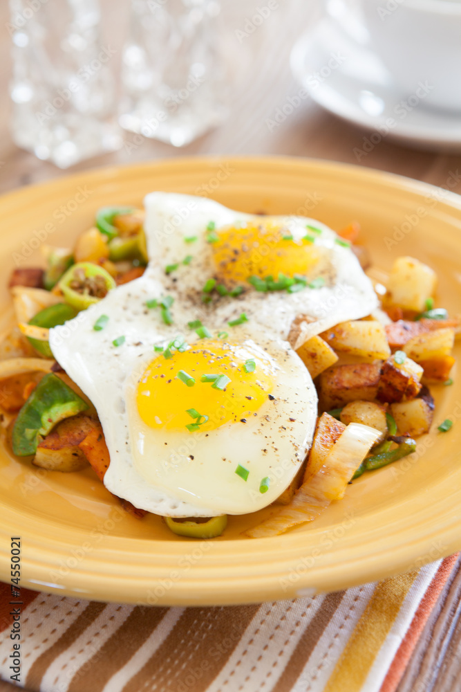Fried Eggs Fried Eggs