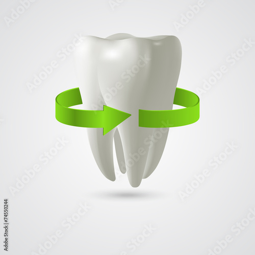 Vector three-dimensional tooth