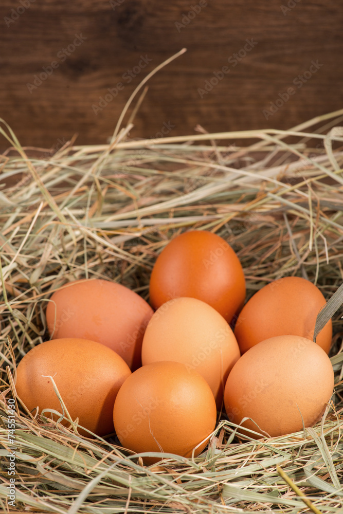 Eggs the delicious and nutritious product Eggs the delicious and nutritious product
