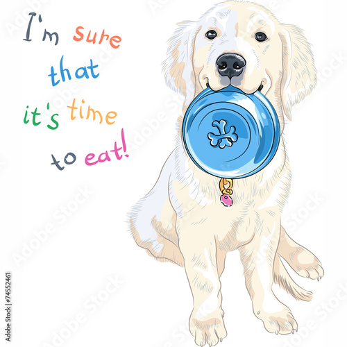vector sketch whte puppy dog breed Labrador Retriever sitting