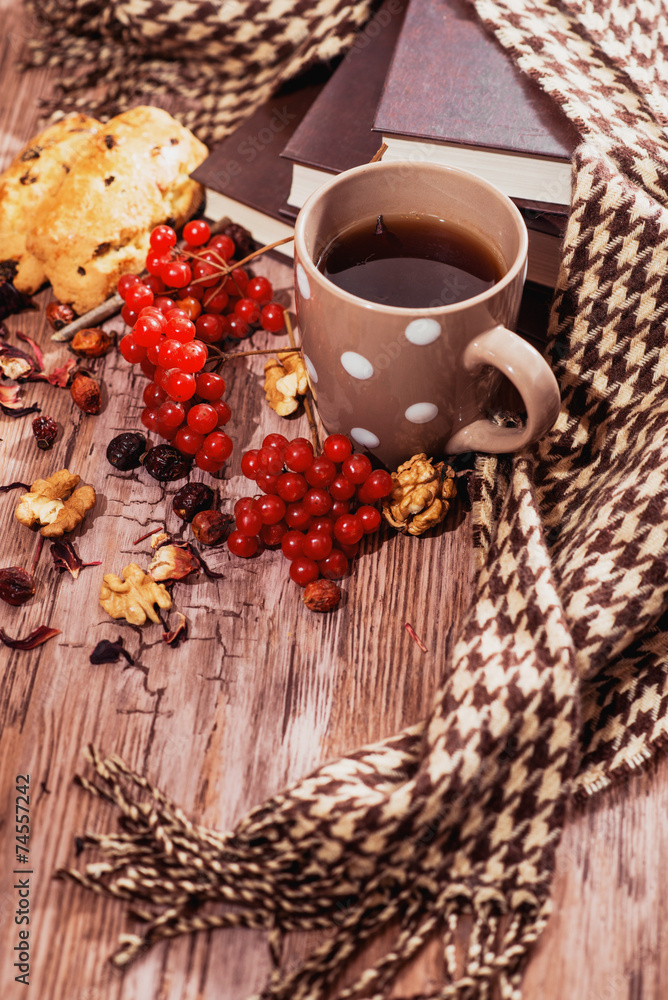 healthy tea with briar and guelder