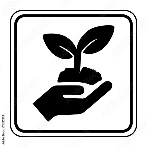 Logo plante.