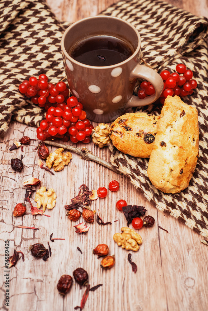 healthy tea with briar and guelder healthy tea with briar and guelder