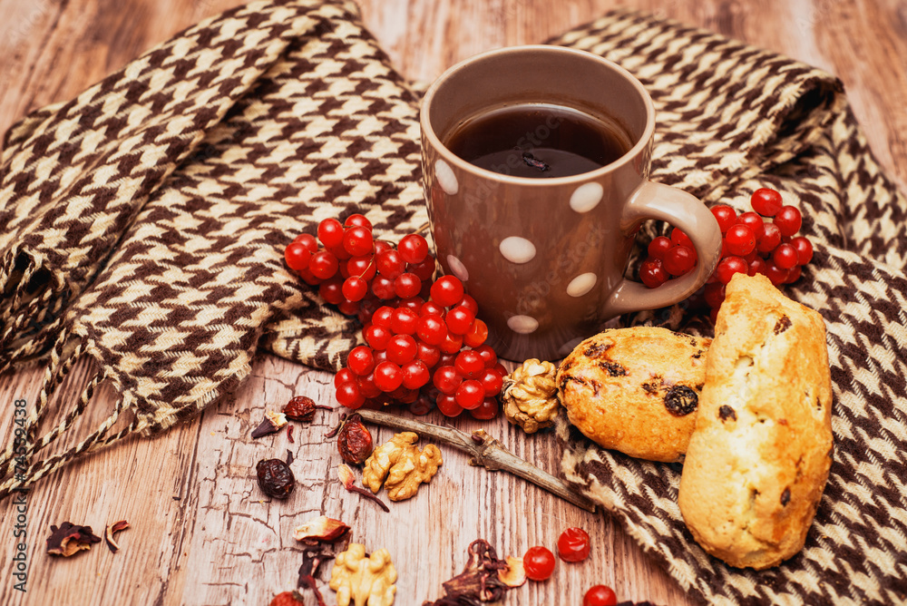 healthy tea with briar and guelder healthy tea with briar and guelder