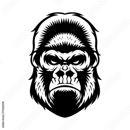 Gorilla Head BW