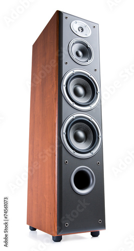 wooden sound speakers on white background