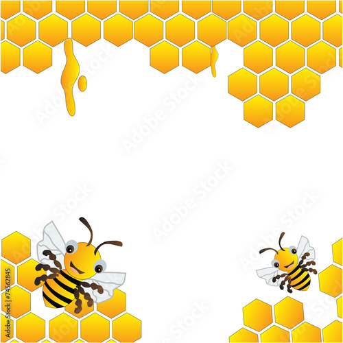 Bees and beehive frame