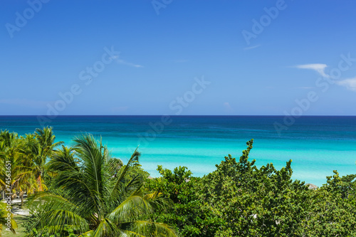 fragment of view of tropical garden  beach and ocean