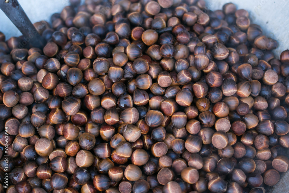 Fresh chestnuts on pan Fresh chestnuts on pan