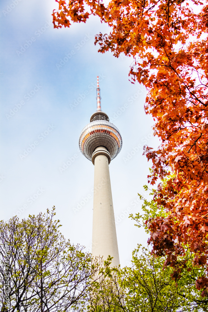 Obraz premium Berliner Fernsehturm tower in Berlin and leaves
