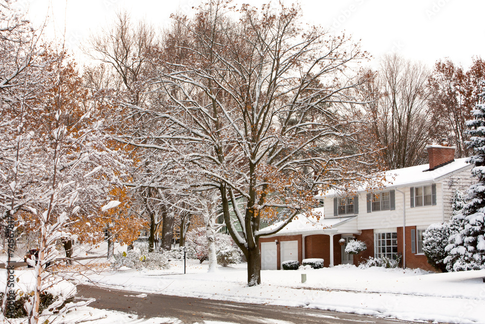 Fototapeta premium Winter Neighborhood street scene