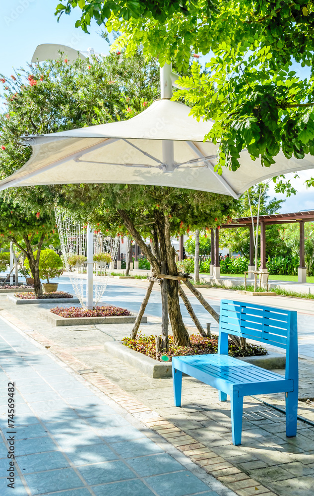 blue chair at pathway