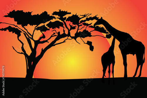 illustration of Giraffe in African safari.